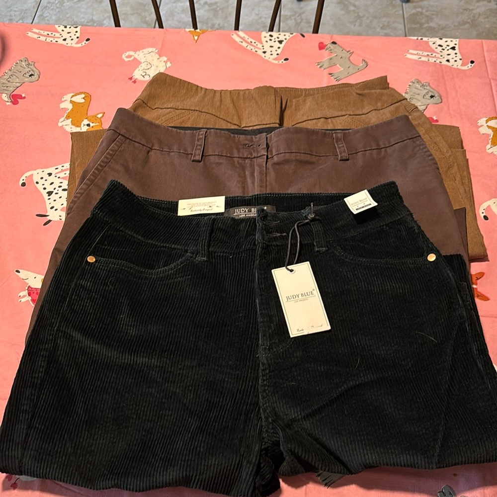 3 pairs Colored pants Judy Blues, Talbots and Westbound